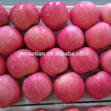 Rubor de Apple Fuji Rosy para Indonesia